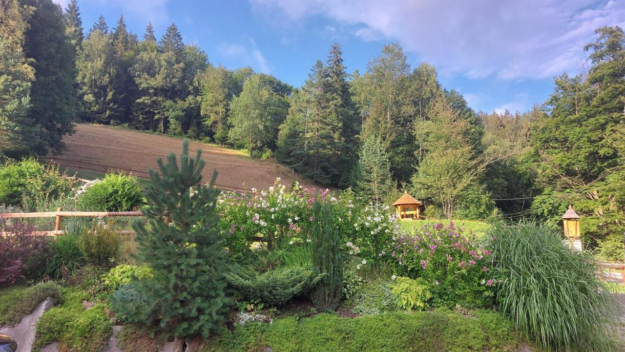 U Vesele Lisky Hotel Hutisko Buitenkant foto