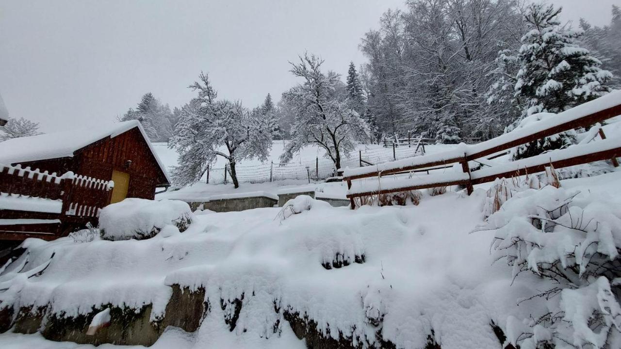 U Vesele Lisky Hotel Hutisko Buitenkant foto