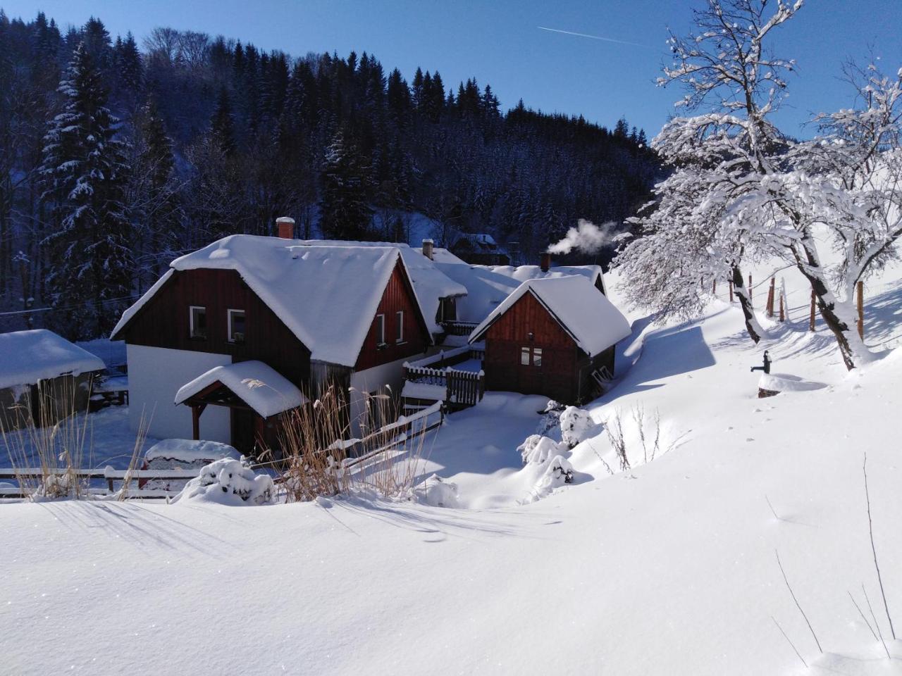 U Vesele Lisky Hotel Hutisko Buitenkant foto