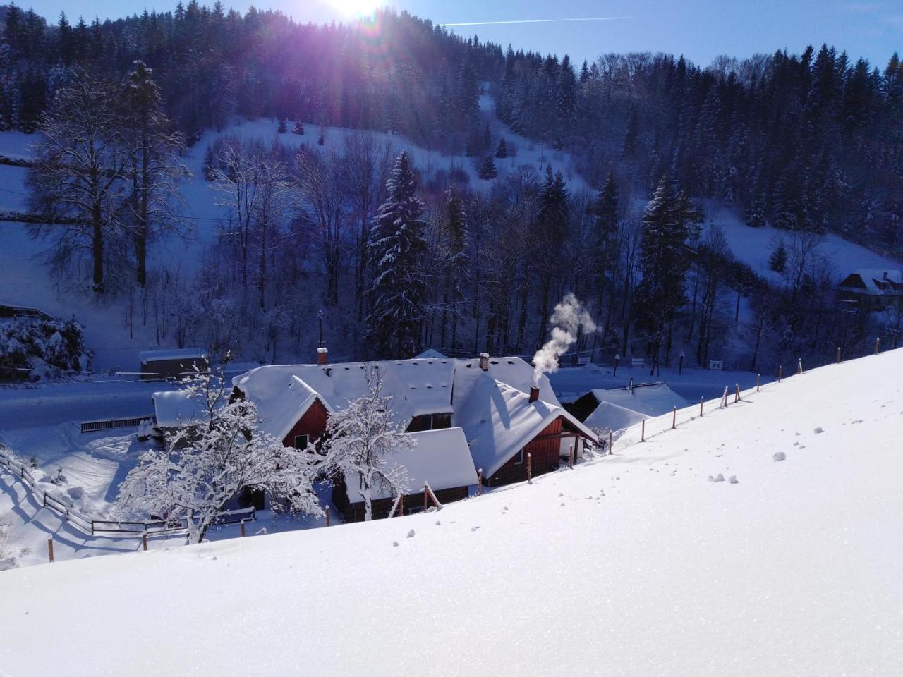 U Vesele Lisky Hotel Hutisko Buitenkant foto